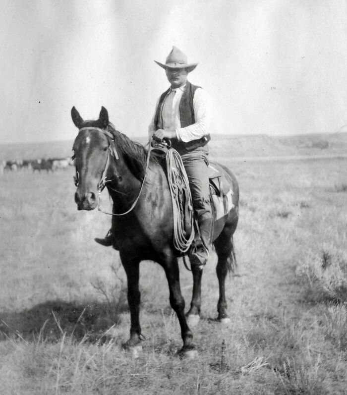 Vintage cowboy on horseback in open plains with rope, embodying classic western life in vintage cowboy photographs.