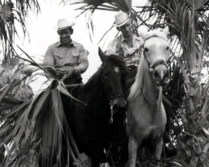 Two vintage cowboys wearing hats riding horses through dense foliage in a historic western setting.