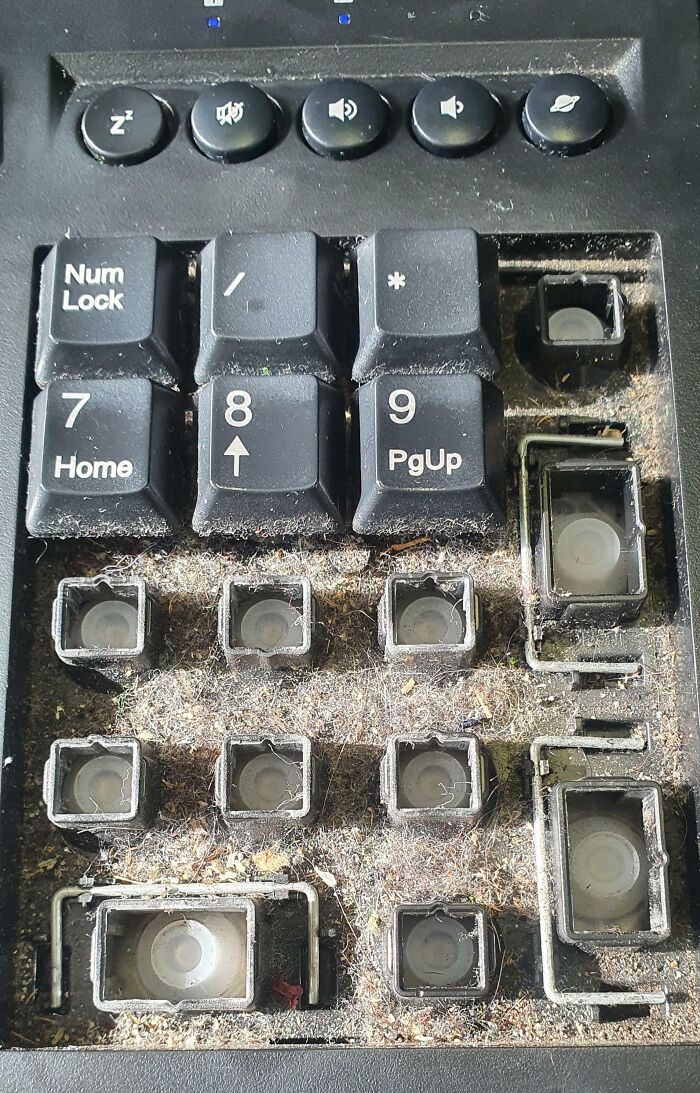 Close-up of a keyboard with missing keys and heavy dust, showing a toxic work environment neglected by employees.