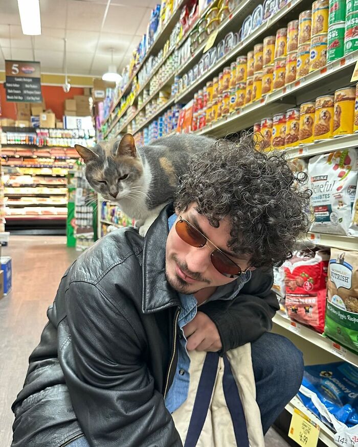 Meet New York’s Famous Bodega Cats: Furry Shopkeepers Who Rule The Corners Of The City