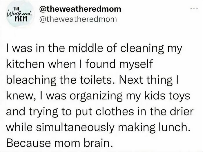 Social media post about multitasking and mom brain, illustrating the humor in everyday mom life from funny mom posts.