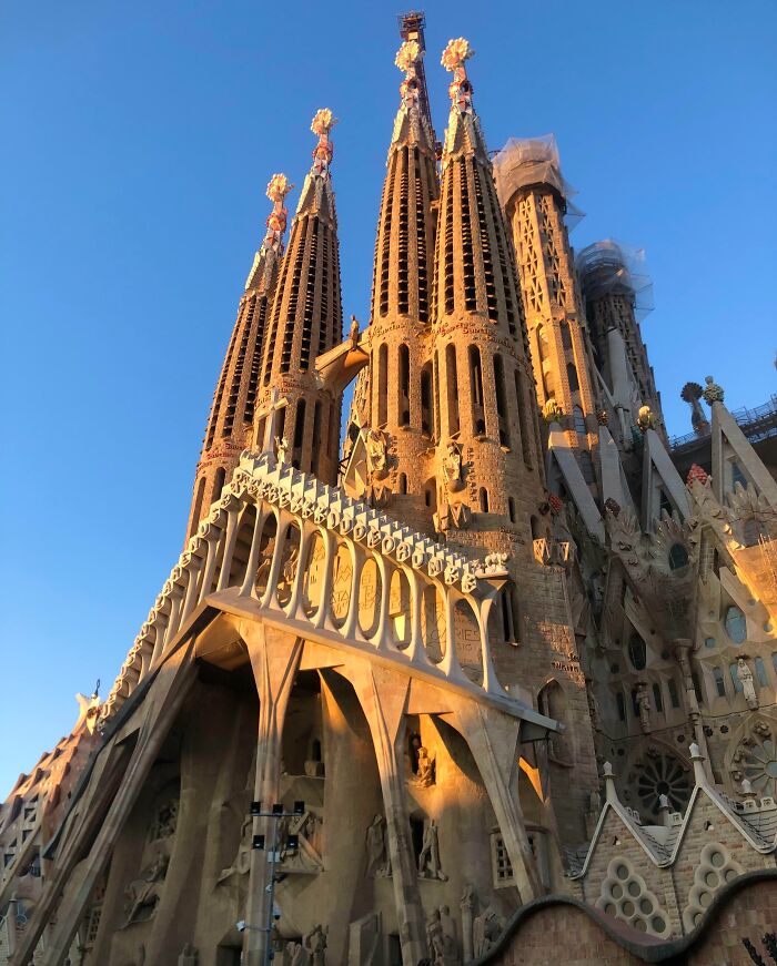 Famous landmark Sagrada Familia captured from a low angle with warm sunlight highlighting the intricate architecture.