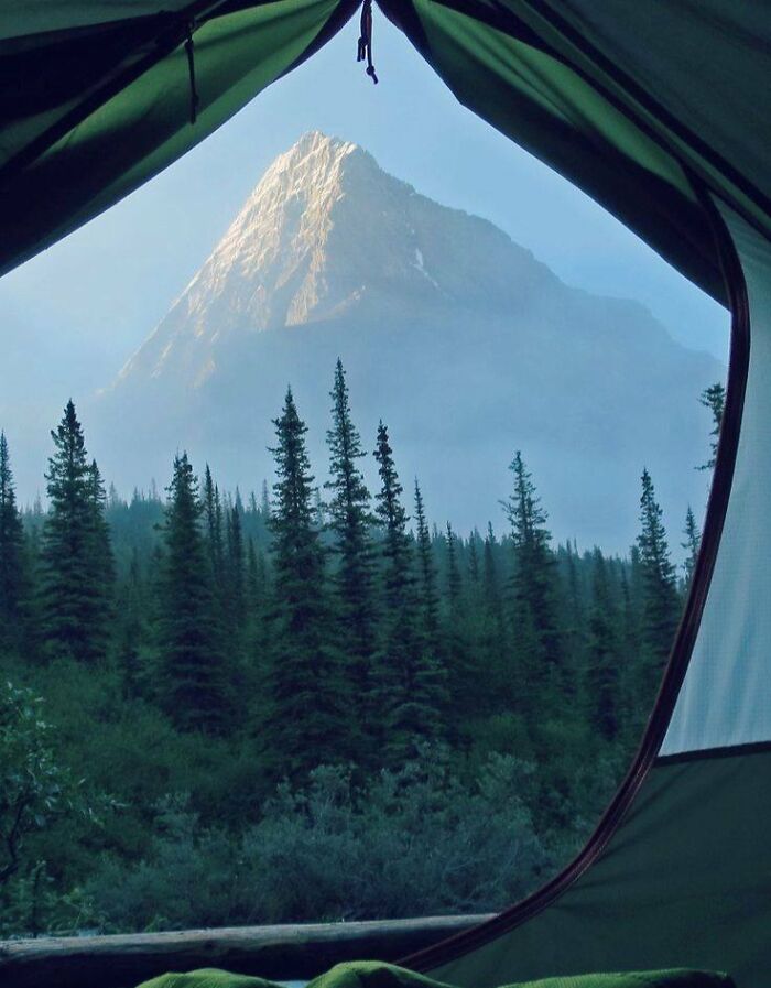 View of a famous landmark mountain from inside a tent, showcasing an unexpected angle among tall pine trees.