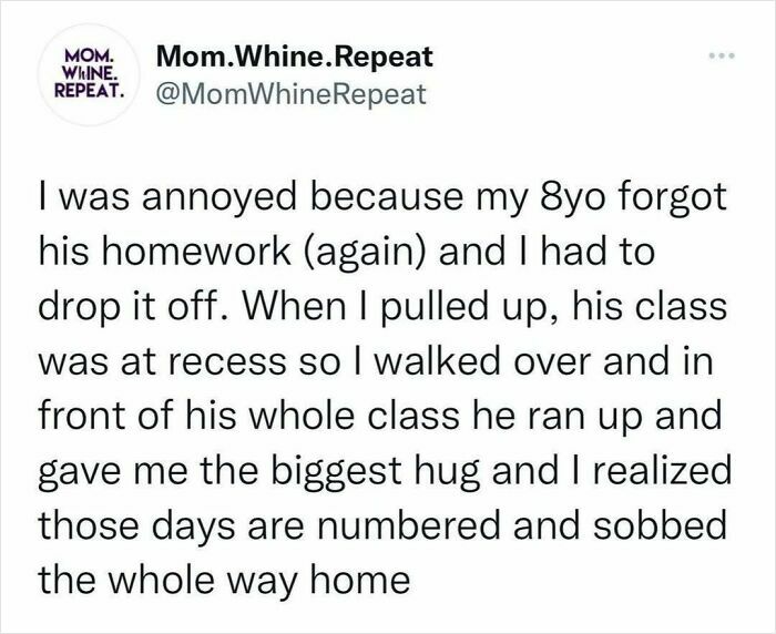 A funny mom post about a mom dropping off her 8-year-old's forgotten homework and a touching moment at recess.