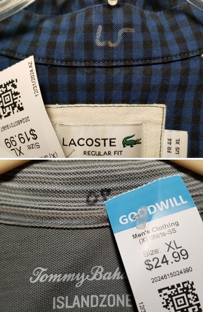 Thrift store finds showing luxury brand shirts with price tags highlighting ridiculous thrift store purchases.