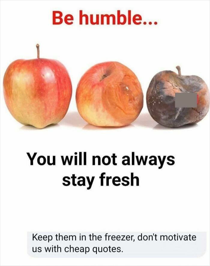 Three apples at different stages of freshness illustrating the funny post about staying fresh and being humble.