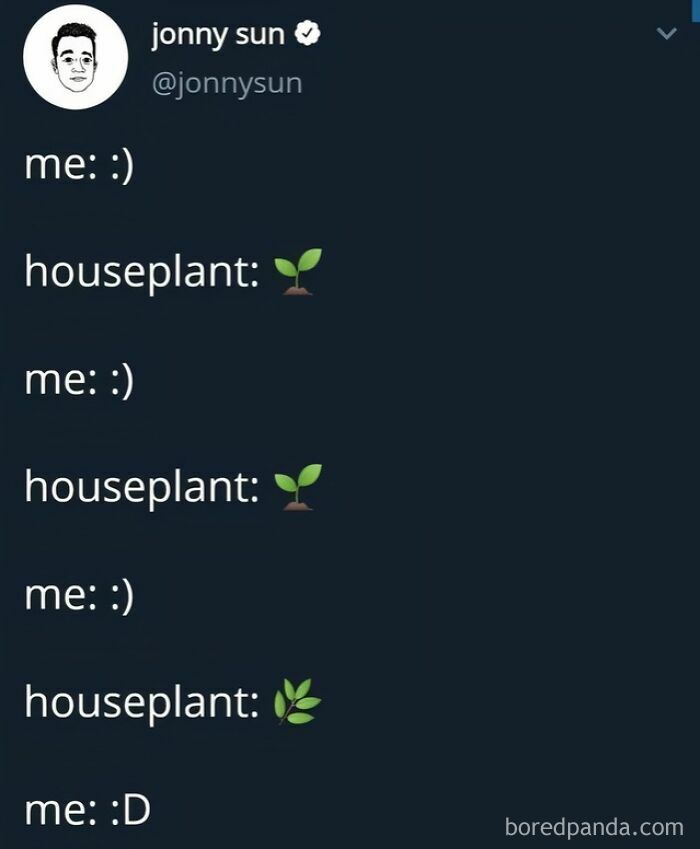 Twitter meme by Jonny Sun showing a conversation with a houseplant growing emojis, a wholesome meme example.