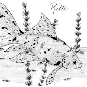 jessicafinnearty avatar