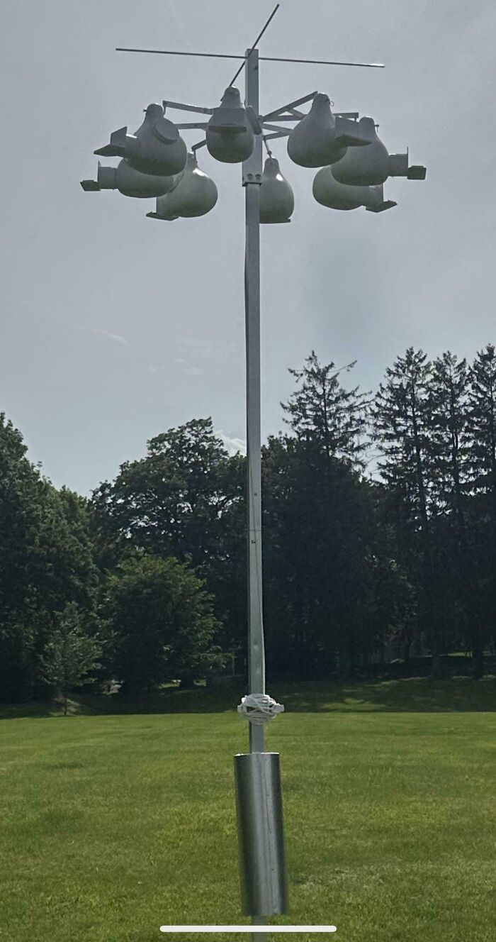 Unusual mystery object mounted on a pole in a grassy area with trees in the background, part of an online group puzzle.