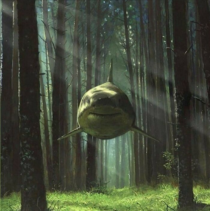 Shark floating in a forest with sunlight filtering through trees, illustrating hilariously absurd internet lies.