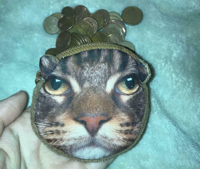 El monedero donde mi novio guarda los centavos