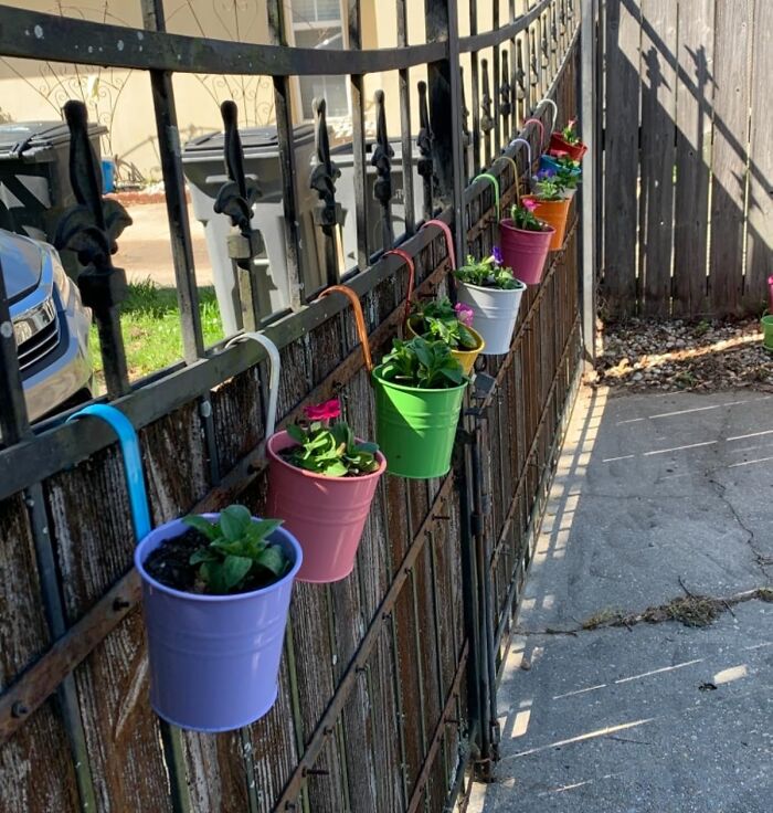 Colorful hanging pots with blooming flowers create a charming garden decor and gardening tools vibe along a metal fence outdoors.