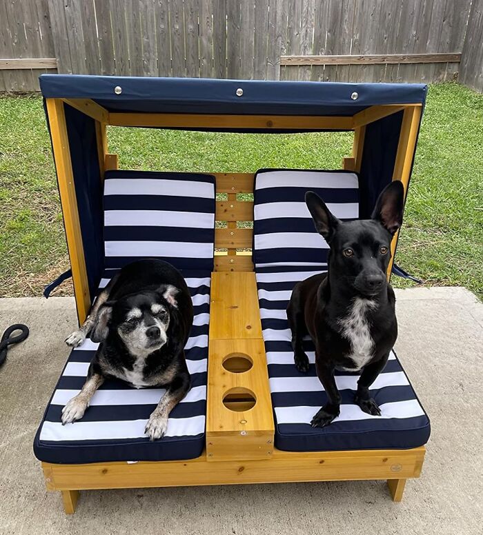 Two dogs sitting on a striped cushioned outdoor seat, showcasing garden decor and outdoor oasis vibes.