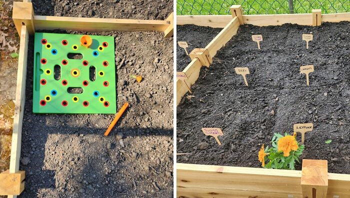 Raised garden beds with soil, labeled plant markers, and gardening tools creating peak outdoor oasis vibes.