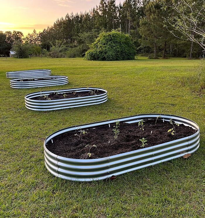 Raised garden beds with young plants in soil on a grassy lawn, showcasing essential gardening tools and decor for outdoor oasis vibes.