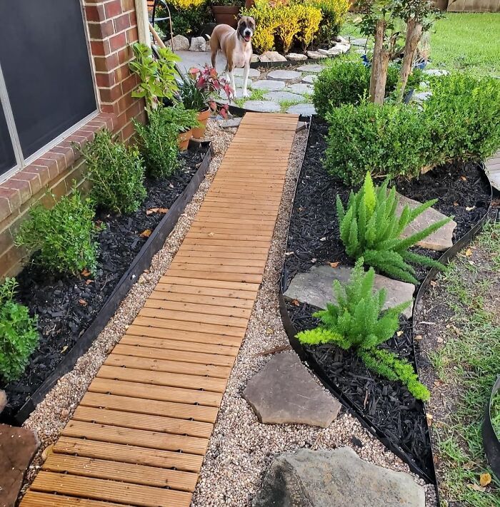 Neatly landscaped garden with wooden pathway, green plants, decorative rocks, and a dog standing near flower pots.