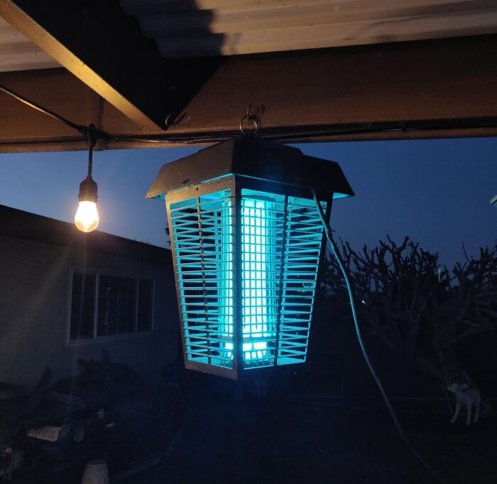 Outdoor gardening tool shown as a glowing blue insect zapper lantern hanging under a porch roof at dusk.