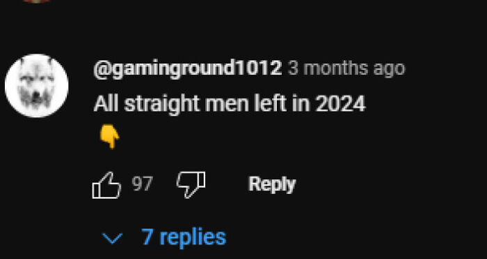 Comment on internet lies humor, joking that all straight men are gone in 2024, with 97 likes and several replies.