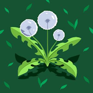 nimmichauhanchilwal avatar