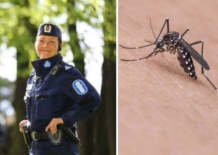 Police officer in uniform smiling outdoors next to a close-up of a mosquito on human skin, illustrating fascinating internet content.
