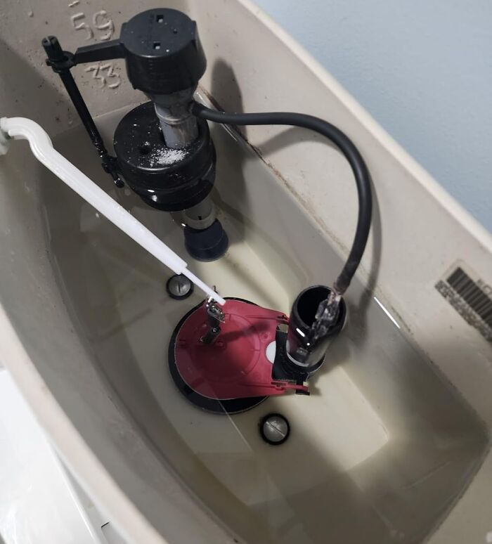 Toilet tank components inside a cistern showing parts of a flush valve and fill valve, related to trending Pandaverse products.