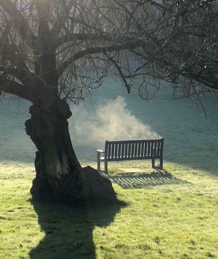 Casi veo a un vampiro esta mañana
