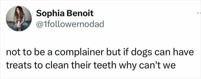 Funny animal meme text about dogs having treats to clean teeth, highlighting delightful animals in a humorous context.