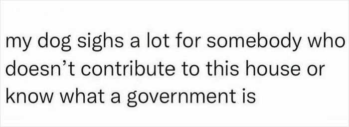 Text meme showing a humorous quote about a dog sighing at someone, related to delightful animals and animal memes.