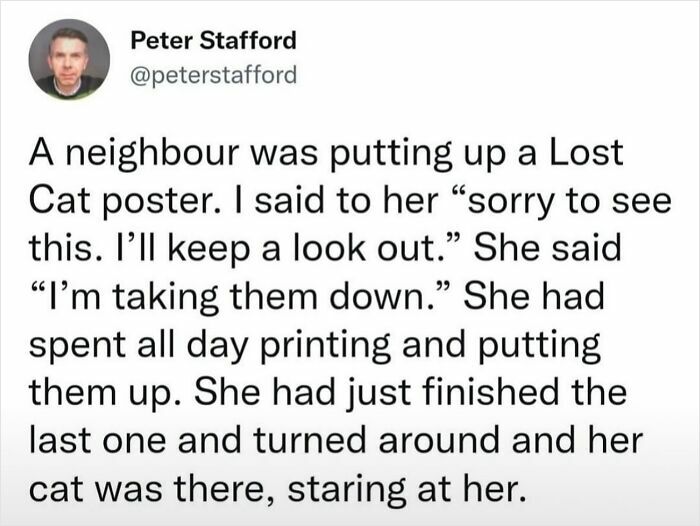 Funny text post about a lost cat poster with a surprising twist, featuring delightful animals humor and charm.