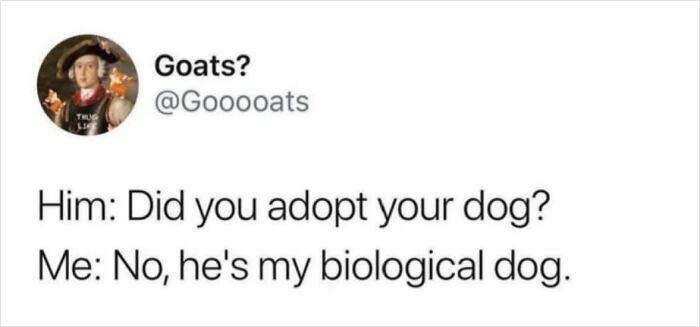 Funny animal meme text about a conversation jokingly calling a dog a biological dog, highlighting delightful animals humor.