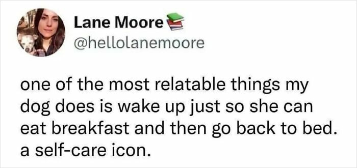 Screenshot of a funny and relatable animal meme about a dog waking up just to eat breakfast, showcasing delightful animals.