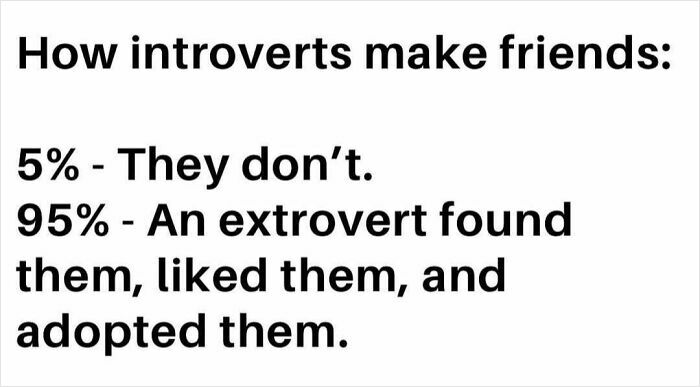 Text-based meme about introverts making friends, highlighting social humor in the circle of idiots meme collection.