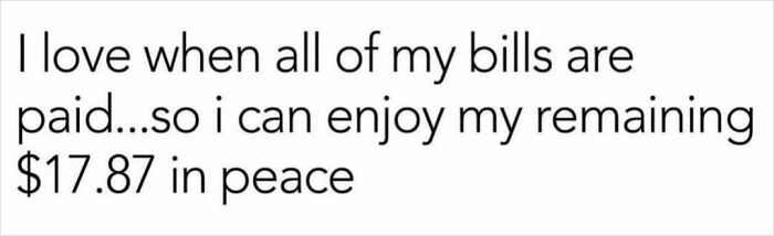 Text meme about enjoying $17.87 in peace after paying all bills, part of circle of idiots hilarious memes.