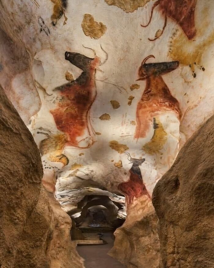 Ancient cave paintings of animals on rocky walls inside a dimly lit archaeological world site.