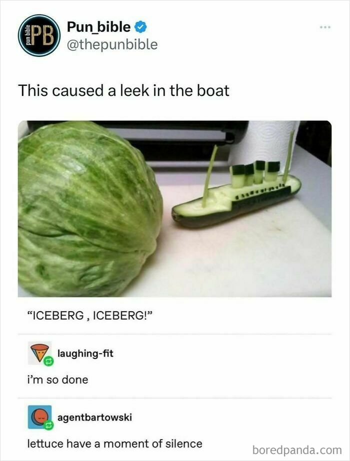 Pun meme showing a cucumber boat sinking next to a lettuce iceberg with hilarious wordplay humor.