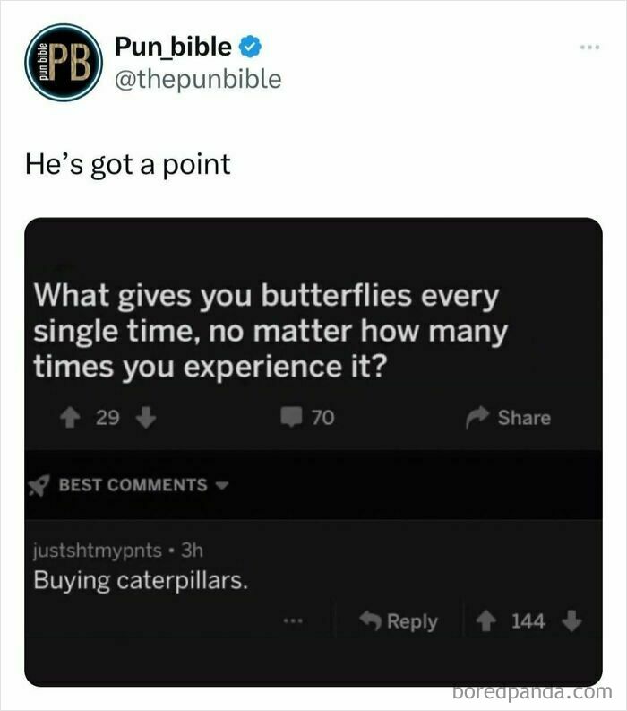 Twitter pun meme from Pun Bible asking what gives butterflies every time, with a wordplay comment about buying caterpillars.