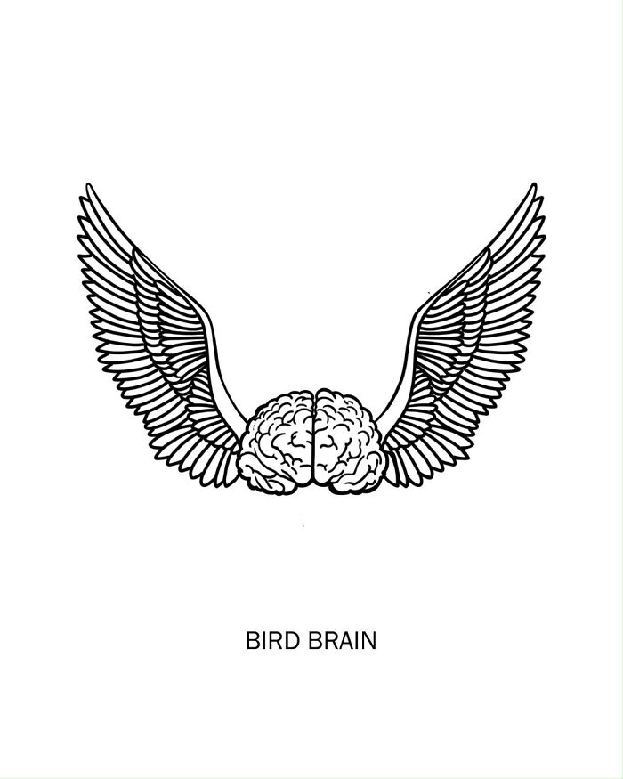 Black and white clever drawing of a brain with bird wings illustrating wordplay from creative drawings collection.
