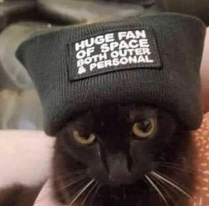 Black cat wearing a hat that says huge fan of space, fitting funny memes to relate to about personal space and humor.