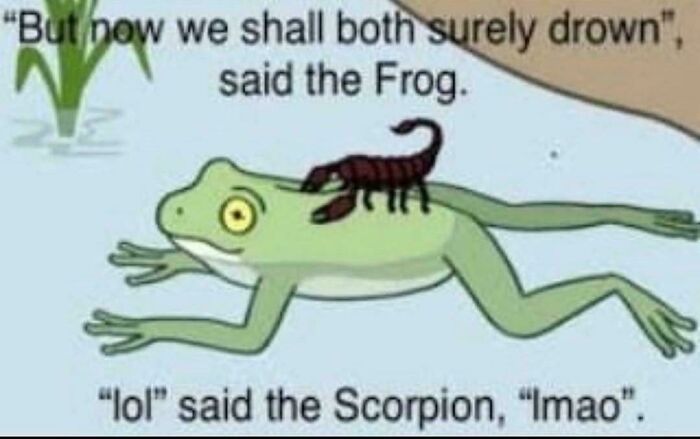 Cartoon frog and scorpion with dialogue, illustrating a popular meme often needing explanation of the joke.