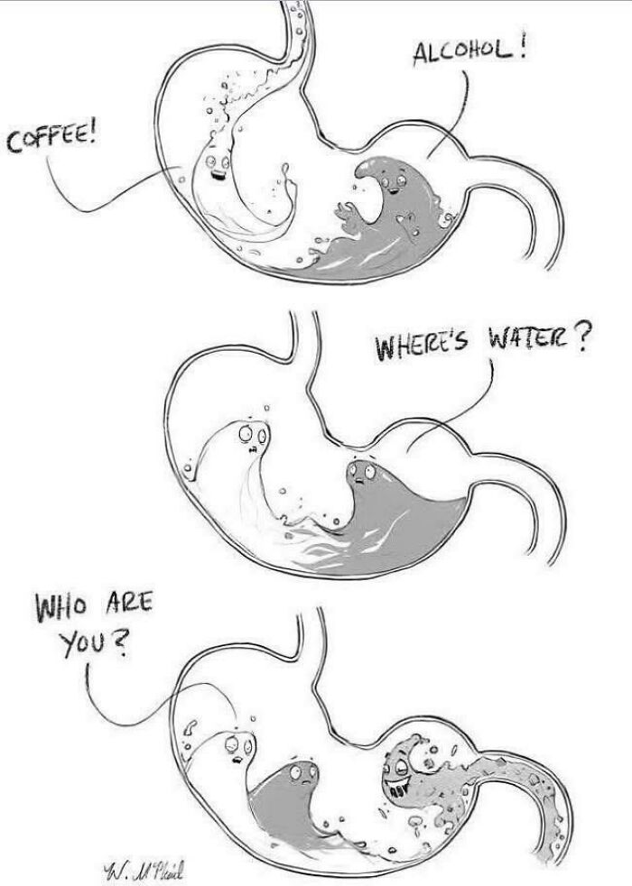 Cartoon of stomach showing coffee and alcohol as characters asking where water is in a humorous explain the joke meme.