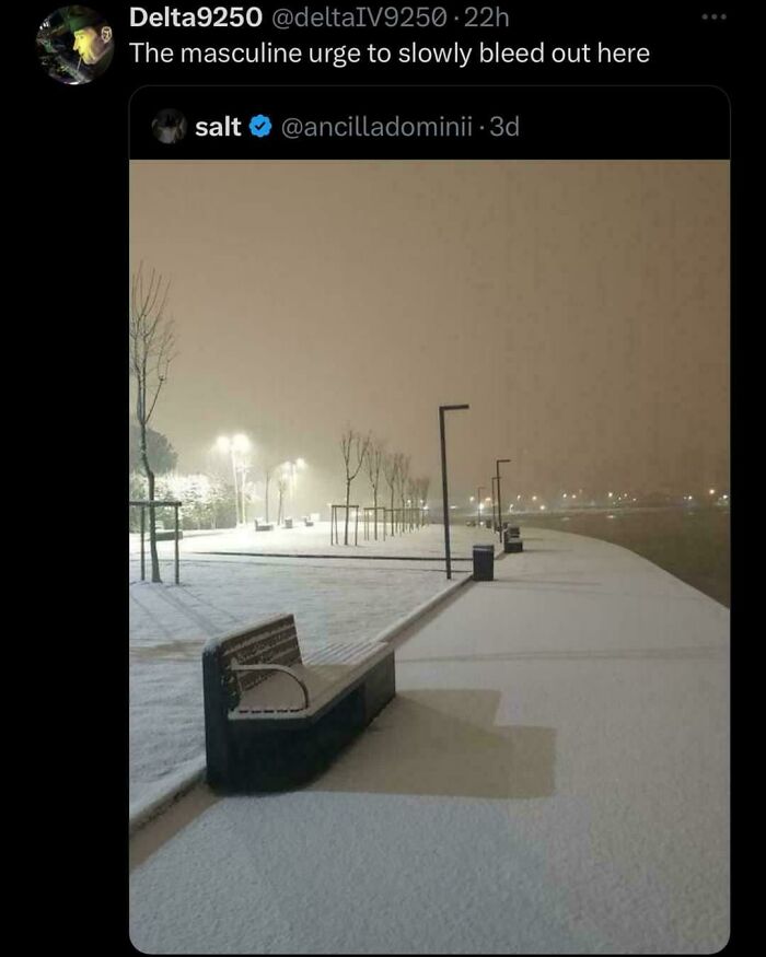 Social media meme asking to explain the joke about a snowy park bench and shadows on a walkway at night.