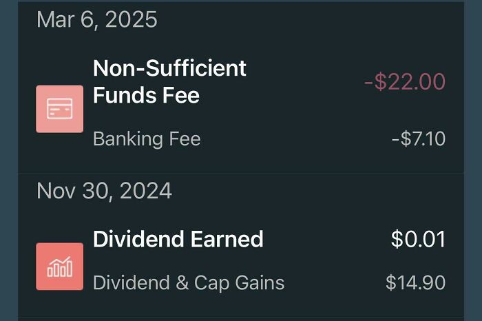 Bank statement showing a Non-Sufficient Funds fee and a Dividend Earned entry, highlighting ridiculous fees frustration.