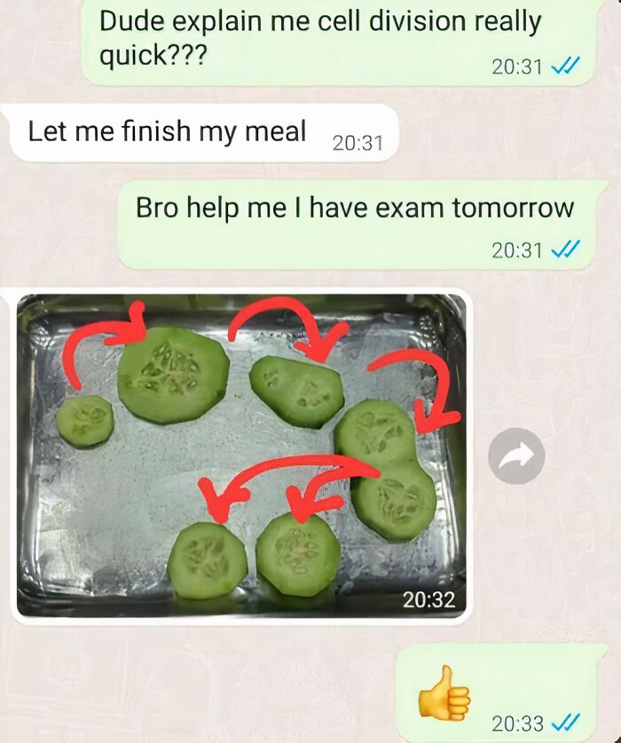 Chat conversation with cucumber slices and arrows illustrating cell division, a fun physics meme to keep your brain sharp and witty.