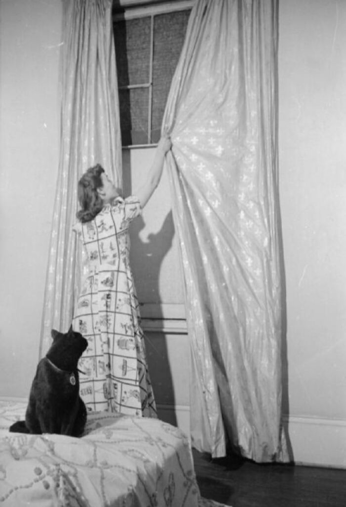 1940s housewife in patterned dress adjusting curtains in bedroom with black cat on bed nearby, vintage home scene