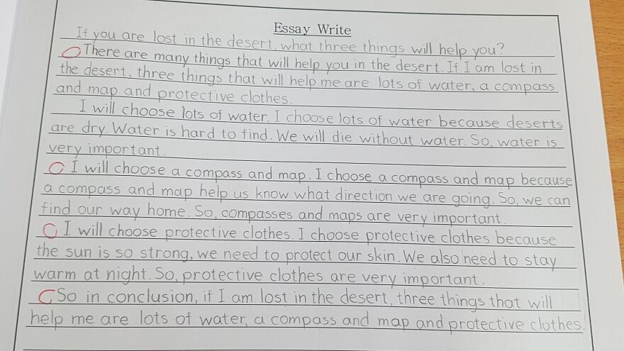 Handwriting example of a neatly written essay on desert survival, showcasing perfect handwriting and clear letter formation.
