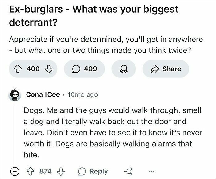 Reddit thread with ex-burglars sharing what kept them out, highlighting dogs as effective deterrents for choosing targets.