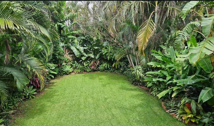 My garden has been my absolute pride and joy for the past 5 years, and I've turned it into a private tropical hideout from a complete blank canvas