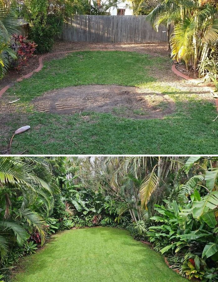 Before and after photos showing a backyard transformed from patchy grass to lush green lawn with dense surrounding plants.