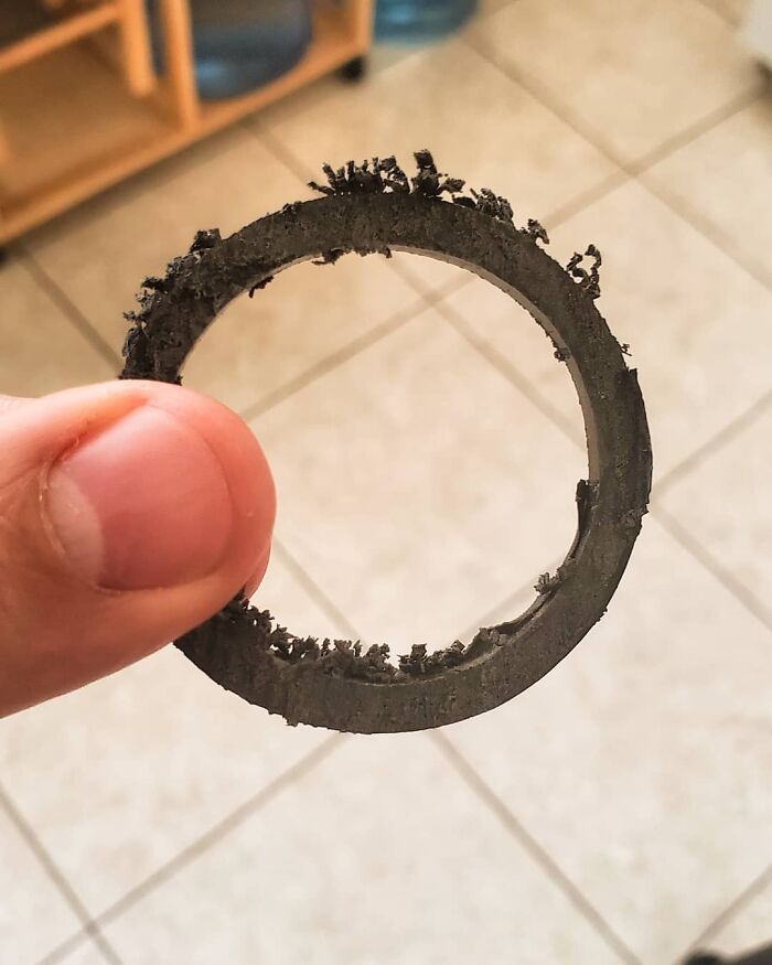 Hand holding a circular piece of trash collected by Gonzo, the romantic trash-collecting cat winning hearts worldwide. Hand holding a circular piece of trash collected by Gonzo, the romantic trash-collecting cat winning hearts worldwide.