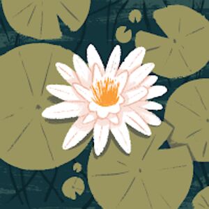 sarahanderson_3 avatar